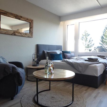 Mountain Suite Winterberg Pool Sauna Hund 4 Pers Wifi Near Bikepark エクステリア 写真